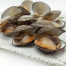 [여자만] 싱싱한피꼬막1kg, 1개, 1kg