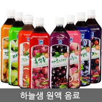 한국데코로 하늘샘 복분자 1020ml 희석음료, 1개