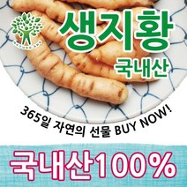 자연365 국내산 (세척)생지황 충북금산, 1개, 특상 (세척) 600g