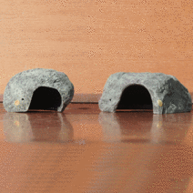 SH reptile 파충류 은신처 L, L, 1개