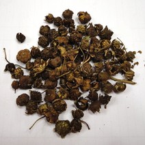 열린약초 국내산 건조 복분자 600g, 1개, 1개