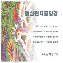 (CD) 김성공 스님 - 불설천지팔양경, 단품