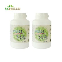 NK 건강환 부추환 120g 240g 480g 720g 960g 택1, 2통