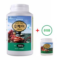 오케어 J 제오라이트 100% 분말형 500g, 1개