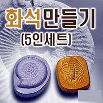 화석만들기(5인) 암모나이트 삼엽충