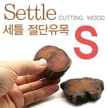 세틀 절단유목S (1개) [높이 1.5cm] 활착유목 어항장식 절단나무, 1개