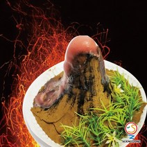 사이언스존 [화산 폭발(화산활동) 5인용] 과학실험키트 학습교구세트