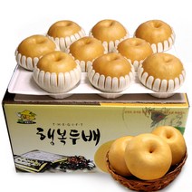 소담촌 2022 수확 햇배(가정용/첫수확), 1박스, 15kg(21~25과)/중대과