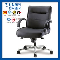 광일체어 제논신형 중 HU-540 중역의자 사무의자, 제논신형 中 HU-540