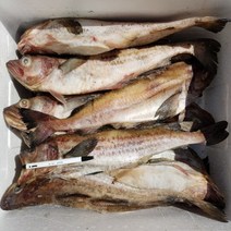 프라임 동태 냉동 명태, 1박스, 10kg(12~14마리)