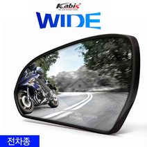 포원) 카비스 전차종 와이드 광각 발수코팅 사이드미러 차량용품, 현대 - TG럭셔리(램프 유)