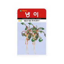 냉이씨앗 1000립