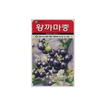 왕까마중씨앗 50립