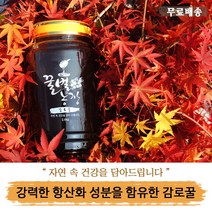 꿀벌농장 감로꿀, 2.4kg, 1병