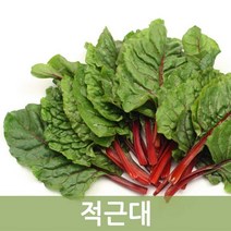 두리반농산 적근대, 2kg, 1박스