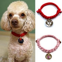 펫츠룩 가볍고예쁜 강아지 고양이 인식표 목걸이, 13데일리블루, 1개