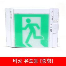 리더스 피난구유도등(중형) 고휘도LED형, 1개