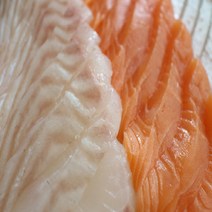 바다사나이 생연어500g+대광어500g 회 세트 필렛, 1개, 연어필렛 500g+광어필렛 500g