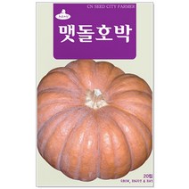 청농종묘 와송 씨앗 5000립 와송씨앗 와송씨 신탑 탑송 씨, 11_맷돌호박(20립)