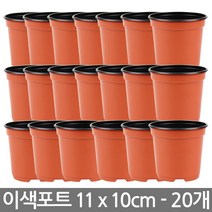 한성 이색포트 10호 20개 다육이화분 플라스틱 화분 포트, 02_한성_이색포트 11호(20개)