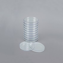 (PIA)패트리디쉬(플라스틱)