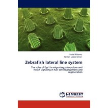Zebrafish Lateral Line System Paperback, LAP Lambert Academic Publishing