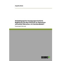 Heilpadagogische Bewegungsorientierte Begleitung Mit Dem Pferd Bei an Depression Erkrankten Menschen Mit Assistenzbedarf Paperback, Grin Publishing