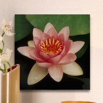 꾸밈 부귀의 상징 연꽃 아크릴액자 ch873, 타입2