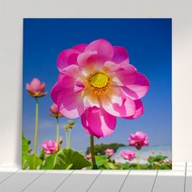 꾸밈 부귀의 상징 연꽃 아크릴액자 ch873, 타입7