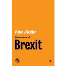 Making Sense of Brexit: Democracy Europe and Uncertain Futures Paperback, Policy Press