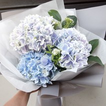 [피오니페페] 수국꽃다발 블루 파란수국 세송이 여름꽃다발, 반투명그레이