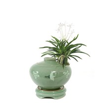 도자기랑나무랑 서양란 동양란 승진 영진 취임 오픈 결혼축하화분 개업난 선물, DS-34 소엽풍란 청자어깨 (소), 1개