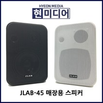 JLAB JLB JB-45 매장용 스피커 4인치 60W 매장, JB-45 화이트 (1개당 가격)