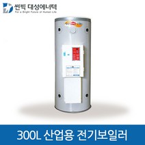 대성에너텍 산업용 축열식 전기보일러 300L, DBE-60C