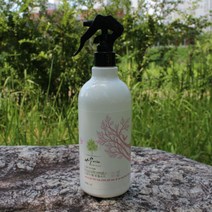 외용소독제 손소독제 손세정제 핸드워시, 1개입, 500ml