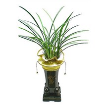 플라워리퍼블릭 개업화분 개업식 공기정화식물 관엽식물 전국꽃배달, 철골소심기본형, 1개