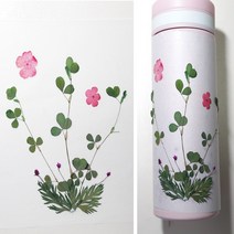[압화]들꽃향기 누름꽃 체험 꽃팩 JPA-1, 마감용접착한지