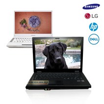 삼성 LG DELL 레노버 중고노트북, 델LATITUDE E4310/E6410, Free Dos, 4GB, 250GB, 인텔