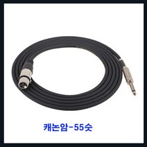동양 동양-캐논암-5.5모노숫 캐논케이블 케논선 음향 앰프 마이크, 검정, 5m