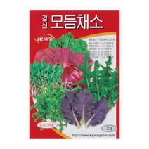 경신종묘 모듬씨앗 경신모듬채소 2g
