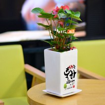 미나의정원 긴사각 생일축하화분, 14 좋은일만 캐릭터