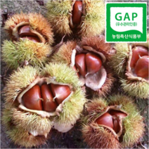 하동참다래매실농원 23년 햇밤 알밤, 1box, 2kg 소