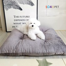 우슬초 극세사 강아지 마약방석, 라이트바이올렛