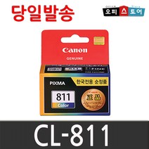 캐논 정품잉크 PG-810, 컬러, 1개
