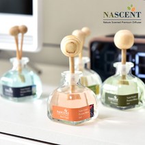 네이센트 차량용 프리미엄 디퓨저 50ml 1+1 본품 리필, 05_로즈마리_우드볼