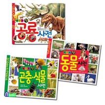 글송이 어린이 첫 공룡사전+어린이 동물사전+어린이 곤충식물사전(전3권)