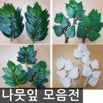 호가 나뭇잎 자작나무 스밀락스 마운틴, 자작나무잎