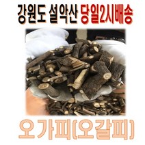 순창상회 자연산 오가피 500g 설악 오갈피, 1개