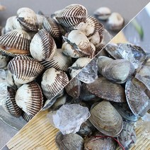 친환경팔도 [산지직송] 여수 새꼬막1kg 바지락1kg, 여수 다이버 바지락 1kg