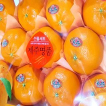 달달과수원 달달한 레드향 선물세트 3kg 특품, 2박스, 3kg(총6kg)
